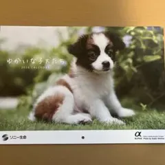 Item thumbnail for item 5d95d33b-af2c-491e-9170-ff8cfe37089b