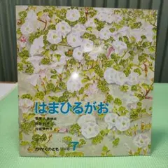 絵本　はまひるがお　かがくのとも　福音館書店