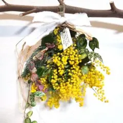 38　ミモザとハツユキカズラのスワッグ