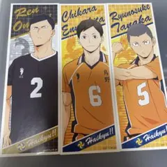 ハイキュー 大耳練 縁下力 田中龍之介 ロングステッカー セリア セット
