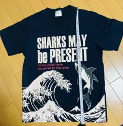 Item thumbnail for item 9e9471d0-decc-438b-a810-509cd46f29cb