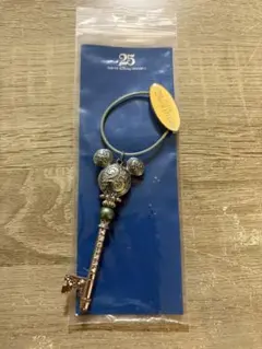 東京ディズニーリゾート 25周年 キーホルダー ドリームキー
