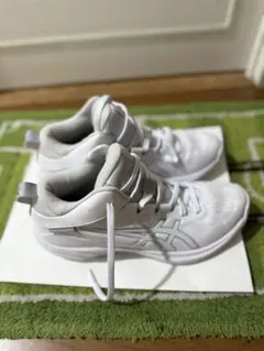 Item thumbnail for item 5b372ac9-cc54-43cd-9422-3ff78a0f060f