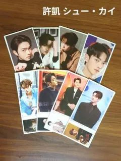2026年最新】シュー・カイ 許凱の人気アイテム - メルカリ