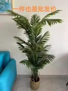 フェイクグリーン 高さ150cm 羽状葉