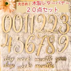 【ネコポス】大きめ 20点セット 木製レターバナー マンスリーフォト