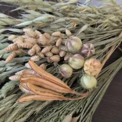 山野草ドライフラワーのサムネイル