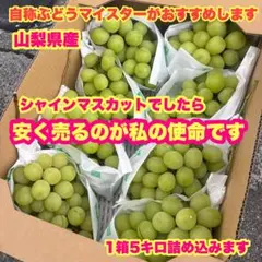 シャインマスカット　自宅で食べ放題❗️ シャインマスカット 自宅で食べ放題❗️9月1日以降発送 - メルカリ
