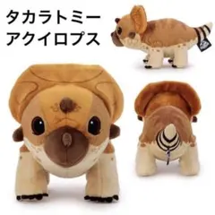新品 タグ付き タカラトミー ジュラシック・ワールド アクイロプス ぬいぐるみ