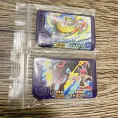 ポケモンフレンダ レックウザ ルチャブル