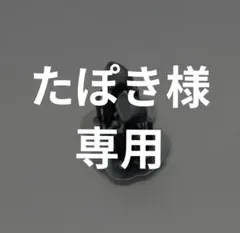 たぽき様専用