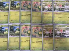 ポケモンカード　汎用カード　ミニーブ　シェイミ　スボミー　むずむずかふん