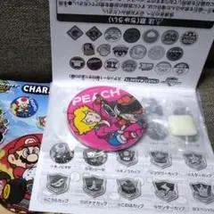 マリオカート ワールド キャラマグネッツ ピーチ