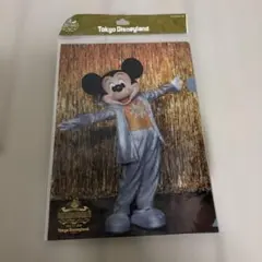 【新品未使用】ディズニーランド　ワンマンズドリームⅡ クリアファイル　５枚