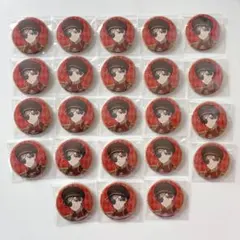 WIND BREAKER 蘇枋隼飛 缶バッジ 23個