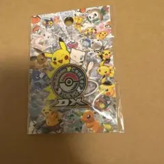 ポケモン　ポケモンセンター　トウキョーDX ロゴピンズ