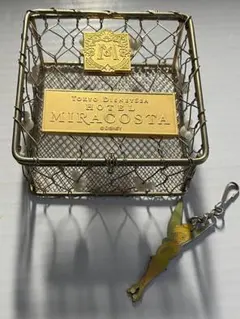 東京ディズニーシー　ホテルミラコスタ　限定品　小物入れ　メッシュ　ティンカーベル