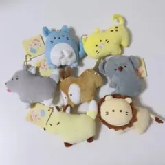 つぶらな瞳の動物園 セット