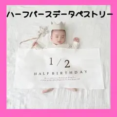 ハーフバースデー タペストリー 飾り おうちフォト 記念 誕生日 ベビー　成長