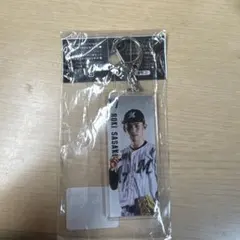 Item thumbnail for item 927e8e51-b23f-44e2-bbcc-be4367e4a32b