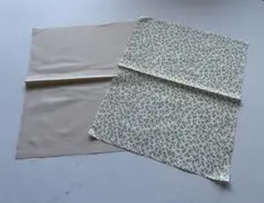 Item thumbnail for item 886a3eee-4423-46e0-a2f6-52dfa5e43e5e