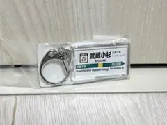 Item thumbnail for item 12eeafd1-3248-4878-a633-a45adae3e37d