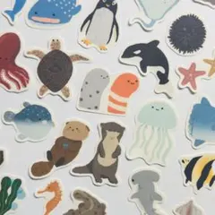 あお様 リクエスト 2点 まとめ商品