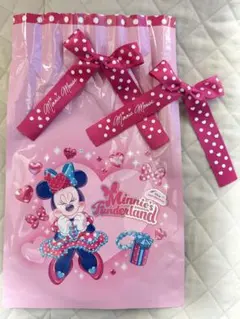 パルパルーザ　ミニー ファンダーランド　クッキー　リボン 4個セット