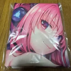 SDVX グレイス ロングクッションカバーとe-passのセット メルカリ