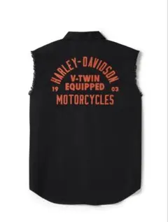 Item thumbnail for item b2550c71-cf53-46cb-901d-2a4bda96520e