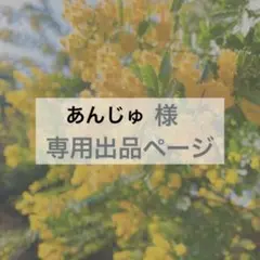 あんじゅ様　専用出品