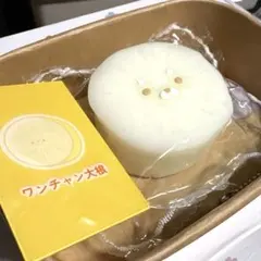 【MOMO】ワンチャン大根　スクイーズ　捏捏