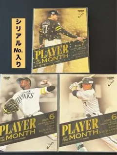 2026年最新】bbm fusionの人気アイテム - メルカリ