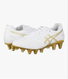 新品未使用半額以下 ASICS DS LIGHT X-FLY PRO