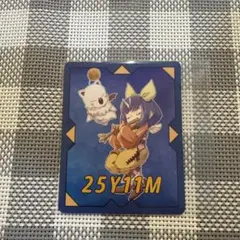 2026年最新】クアッドミスト風カードの人気アイテム - メルカリ