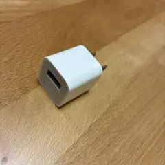 Apple正規品 USBアダプターのみ