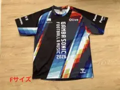 hummel ガンバ大阪 GAMBA SONIC 2026 Tシャツ　Fサイズのサムネイル