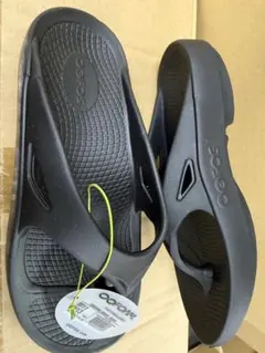 Item thumbnail for item 336cc41c-bd1e-4f08-a914-ba3cb7be0099