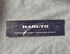 TREASURE HARUTO ビッグステッカー