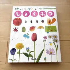ひー様 リクエスト 3点 まとめ商品