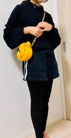 【美品】くまのプーさん　ぬいぐるみ　パスケース　ポシェット