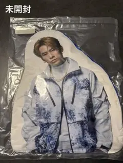 BALLISTIK BOYZ BOT BIGアクスタ クッション 日髙竜太 | Mercari