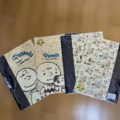 ちゃむ★プロフ必読★発送遅れる場合あり様 リクエスト 2点 まとめ商品