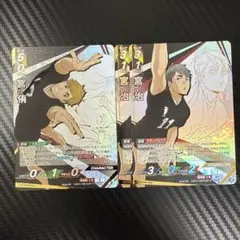 ハイキュー　バボカ　HV-P02　宮兄弟　頂　セット