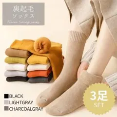 裏起毛ソックス 3足セット 極暖 防寒 靴下 秋冬 暖かい 保温 冷え取り