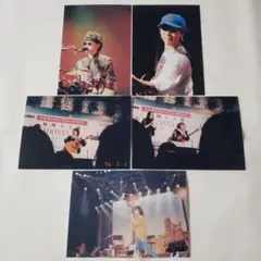 THE ALFEE 坂崎幸之助写真集「元野良ネコ」 - メルカリ