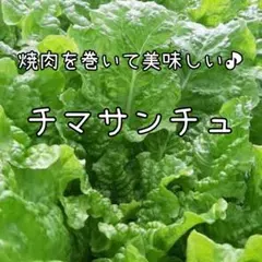 Saya様 リクエスト 2点 まとめ商品