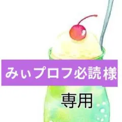 みぃプロフ必読様専用になります