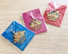 本日限定✴︎Tokyo Disneyland カウントダウン  2004