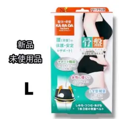 Item thumbnail for item 697137a6-c4e8-46ac-8d86-22a7d4289312